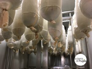 Capocollo aus Martina Franca