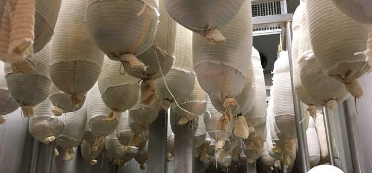 Capocollo aus Martina Franca