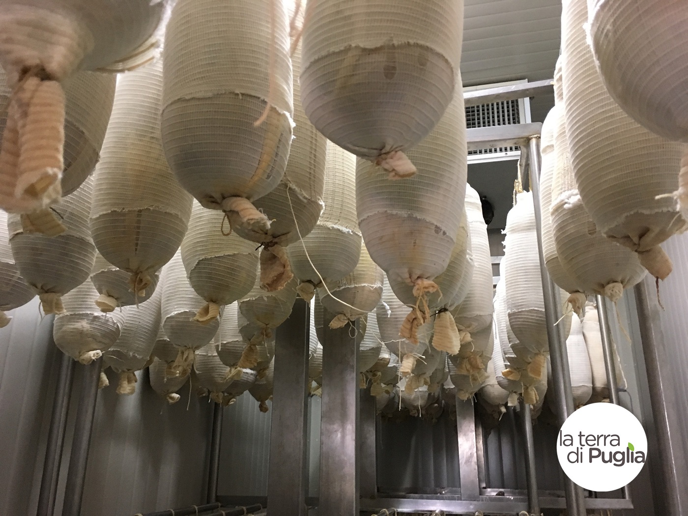 Capocollo aus Martina Franca