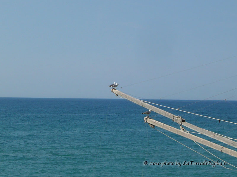 Ein Trabucco, die alte Fischfangkonstruktion der Gargano-Küste