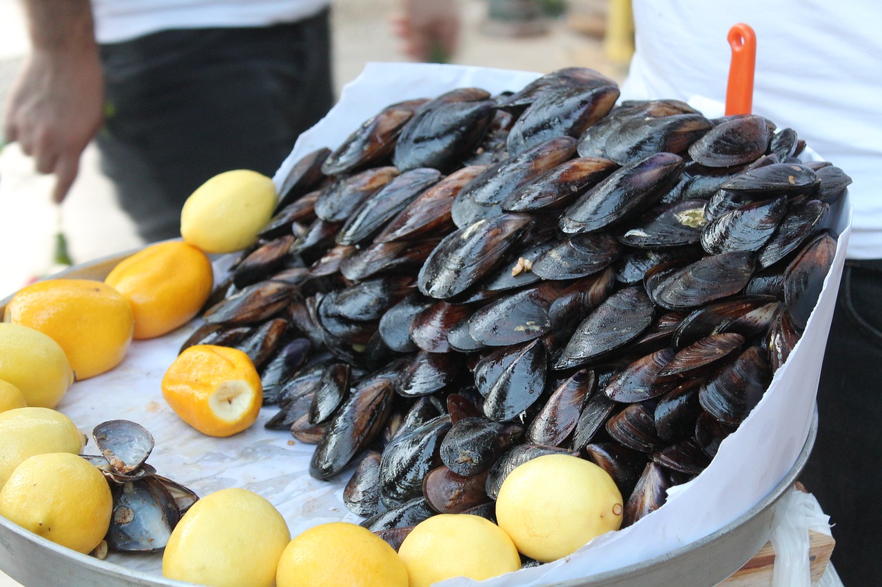 Miesmuscheln aus Taranto