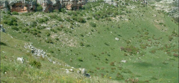 Der Pulo, eine Karstdoline bei Altamura