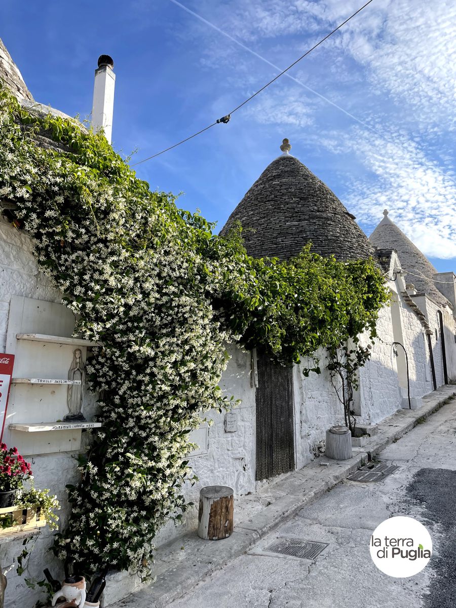 Die Trulli von Alberobello