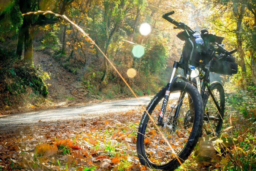 Radfahren zwischen den Olivenhainen Apuliens: September und Oktober sind die besten Monate