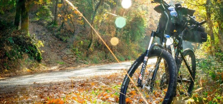 Radfahren auf dem Land in Apulien