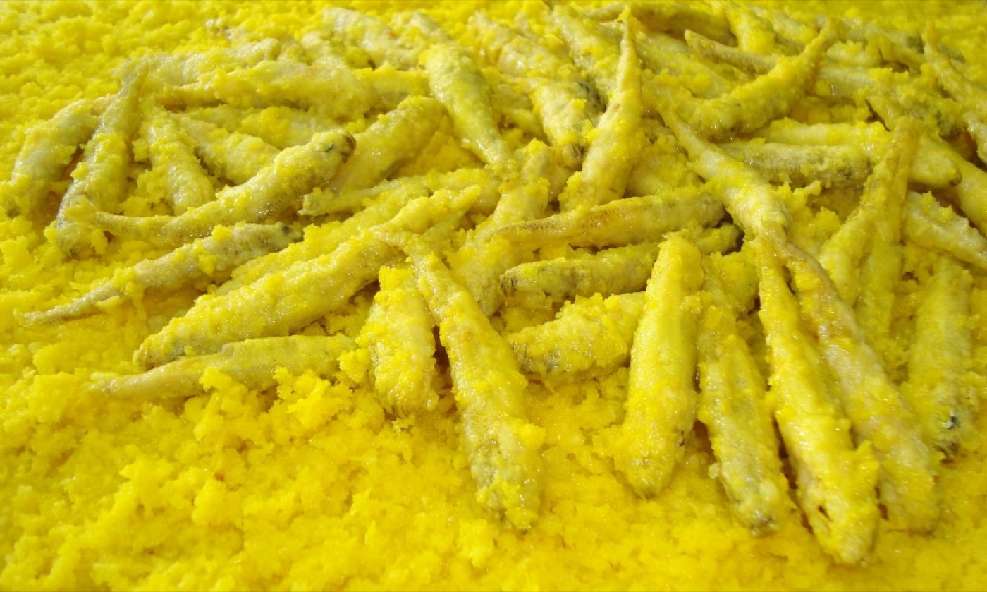 Scapece aus Gallipoli, frittierter Fisch mit Safran eingelegt