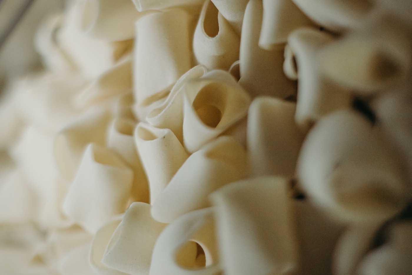 Penne di San Giovanni