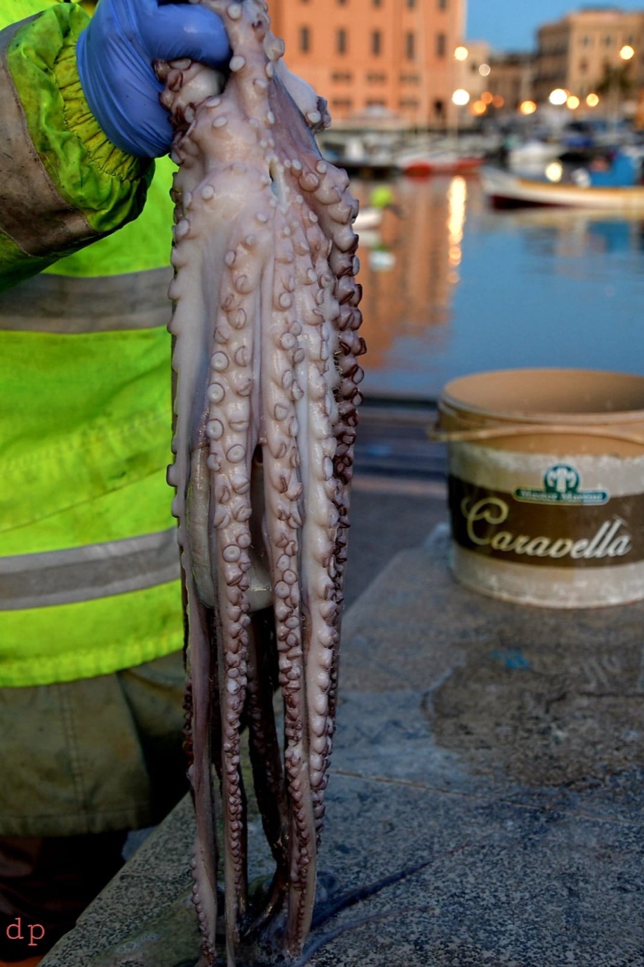 Oktopus, ein Klassiker der apulischen Meeresküche